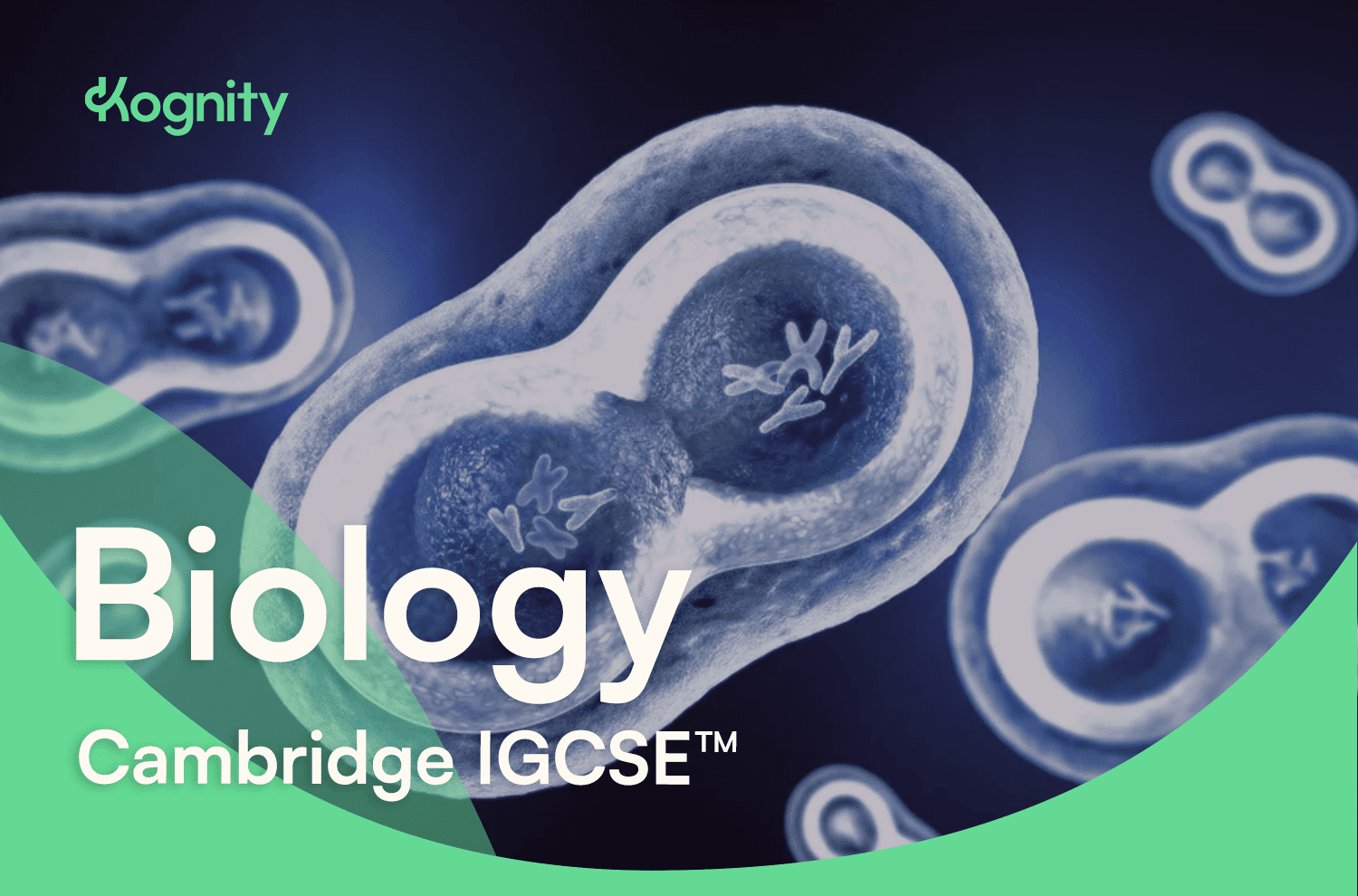 Ready-made IGCSE™ Science Quizzes With Kahoot! - Kognity